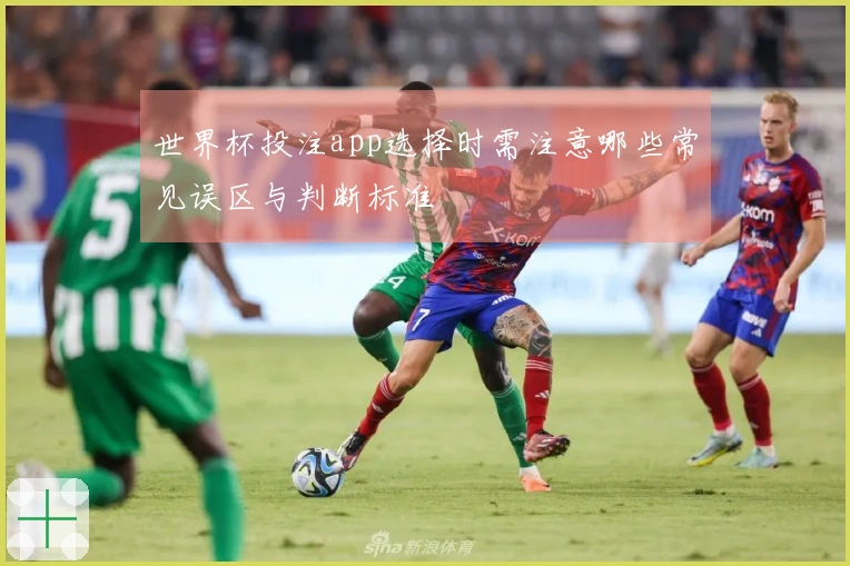 世界杯投注app选择时需注意哪些常见误区与判断标准