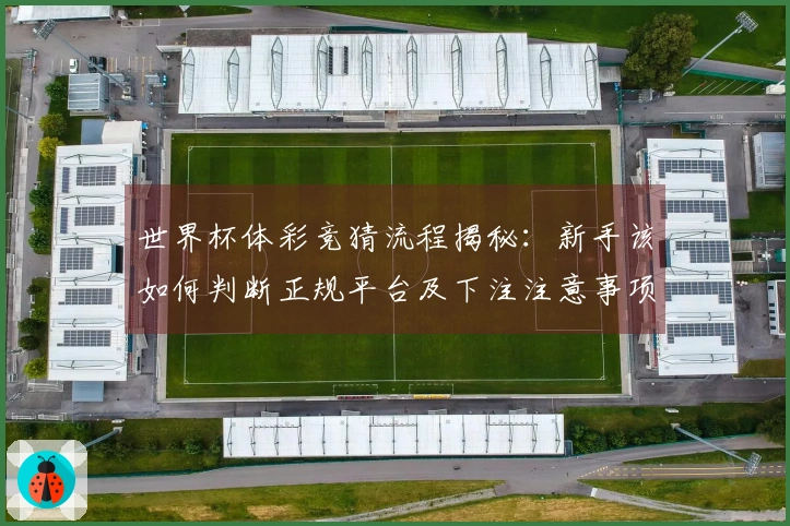 世界杯体彩竞猜流程揭秘：新手该如何判断正规平台及下注注意事项