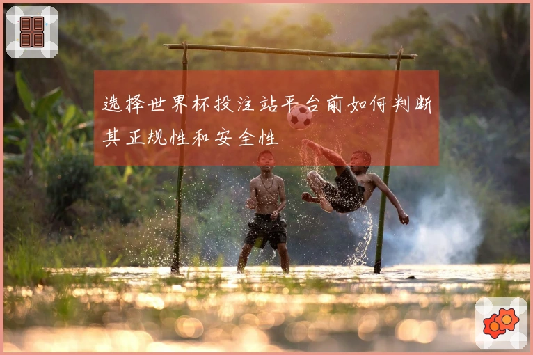 选择世界杯投注站平台前如何判断其正规性和安全性