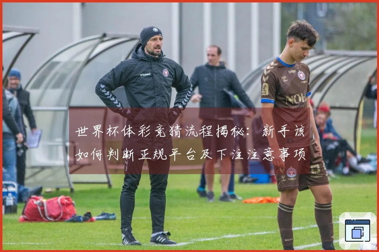 世界杯体彩竞猜流程揭秘：新手该如何判断正规平台及下注注意事项